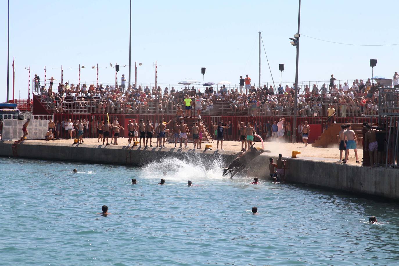 Primer día de Baret y Bous a la Mar en Xàbia