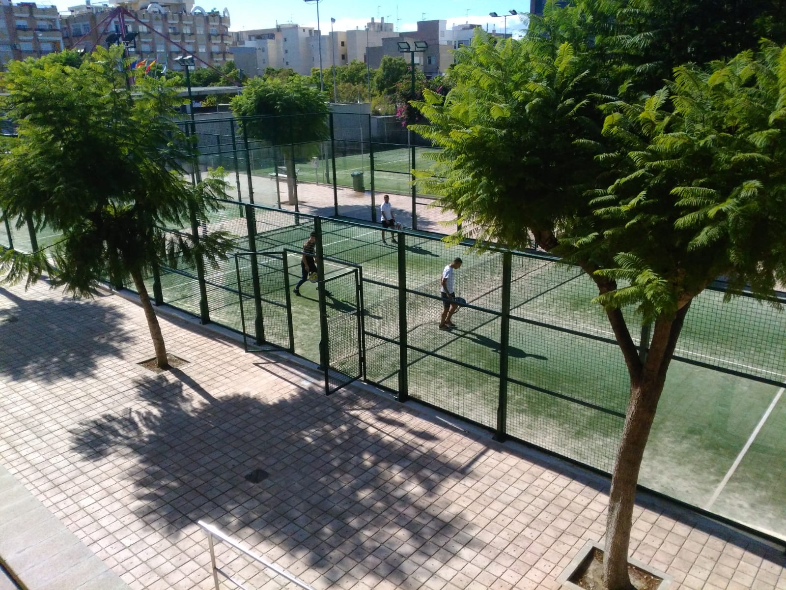 Pistas municipales de pádel en San Vicente.