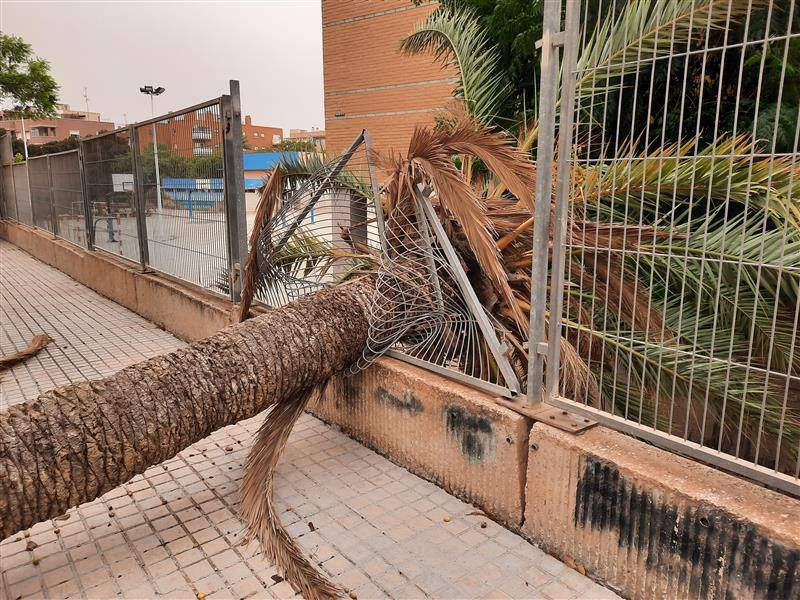 Valla del IES Victoria Kent tras el derrumbe de una palmera