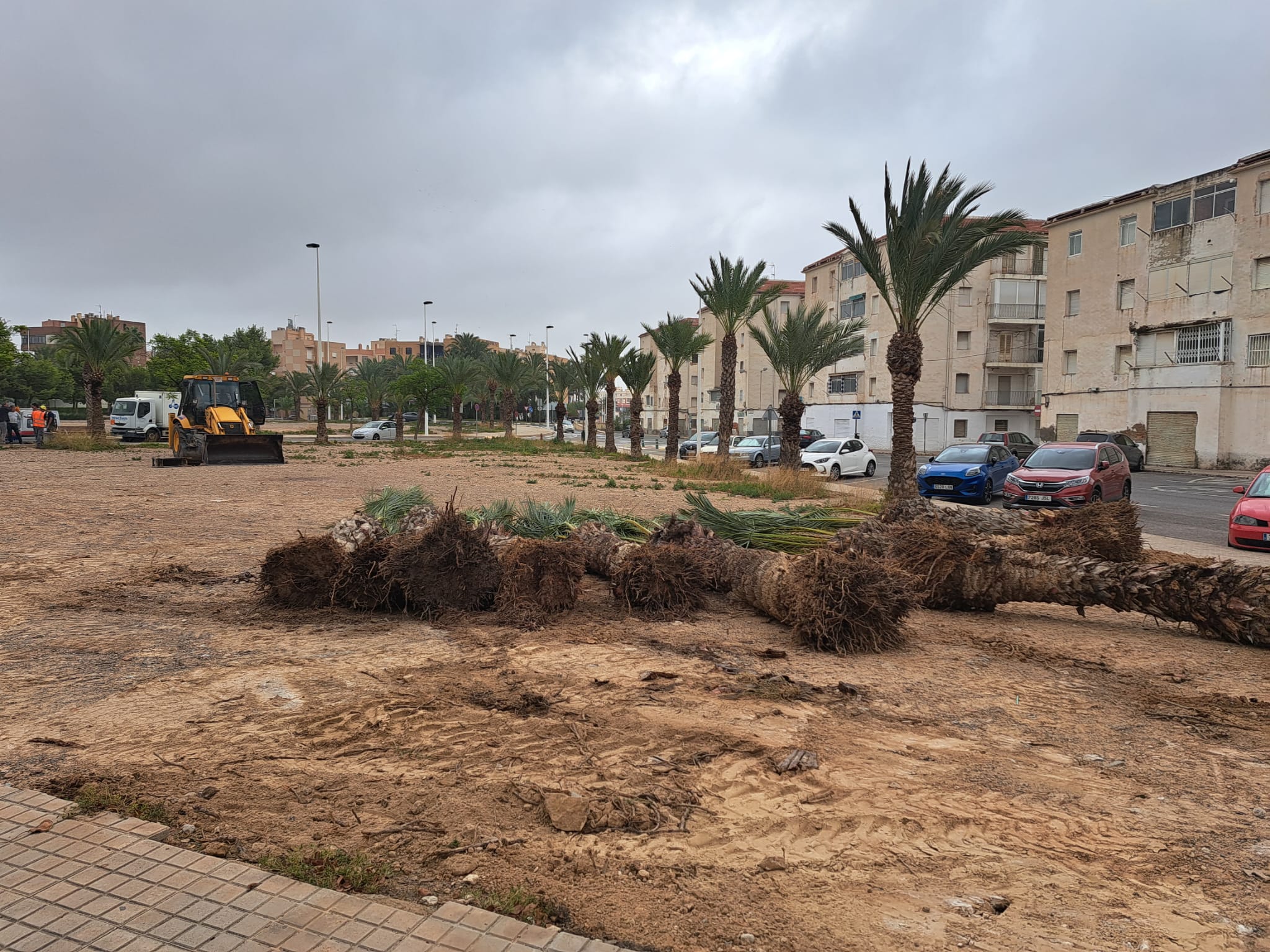 Adecuación de la parcela que acogerá el centro.