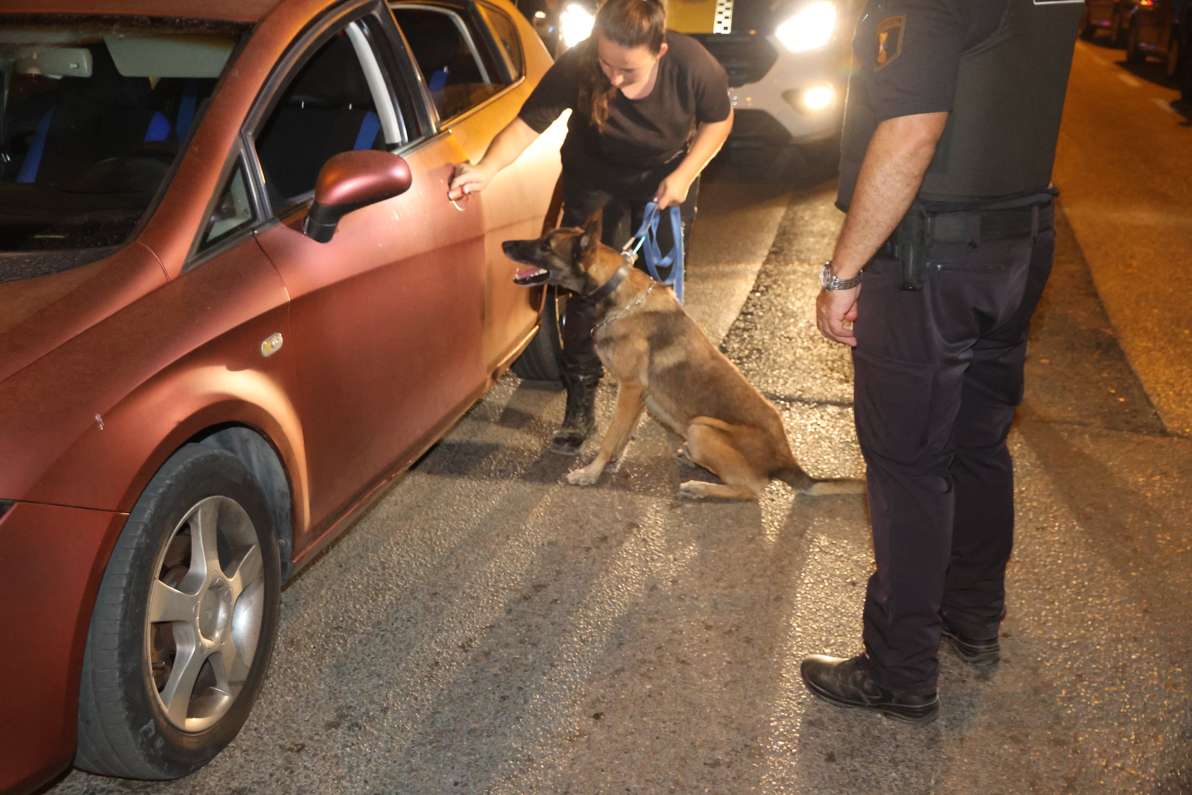 El can ayuda en la detección de sustancias ilegales.