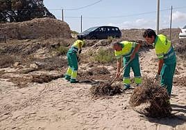 Limpieza de las playas de Elche
