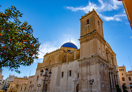 La ciudad de Elche.