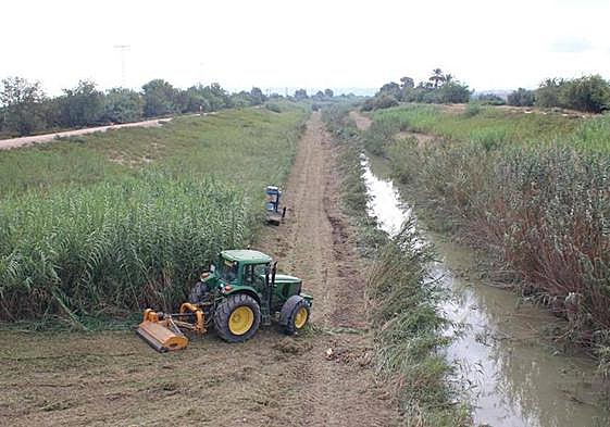 Empleados trabajando en la limpieza del río Segura.