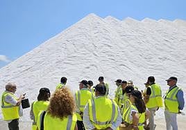 Visita de directivos senior a la empresa Bras del Port