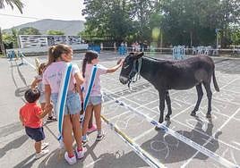 La burra, en el terreno dispuesto para hacer sus cosas.