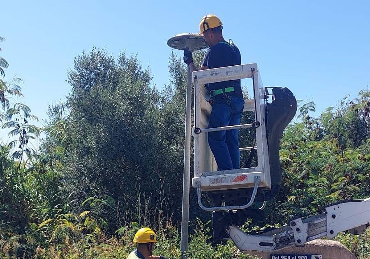 Operarios del Ayuntamiento llevan a cabo la renovación del alumbrado público