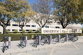 Universidad Miguel Hernández