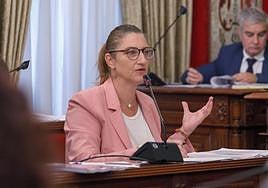 La portavoz popular en el Ayuntamiento, Mari Carmen de España.