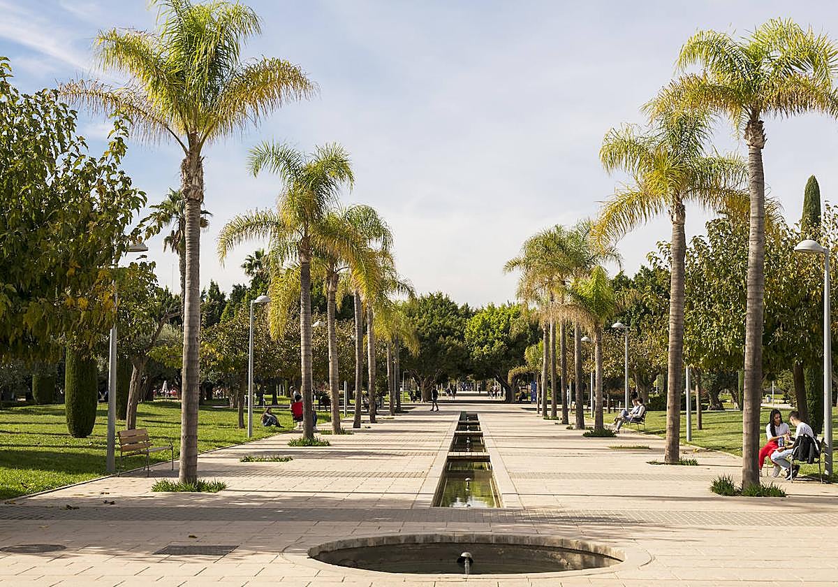 Campus de la Universidad de Alicante