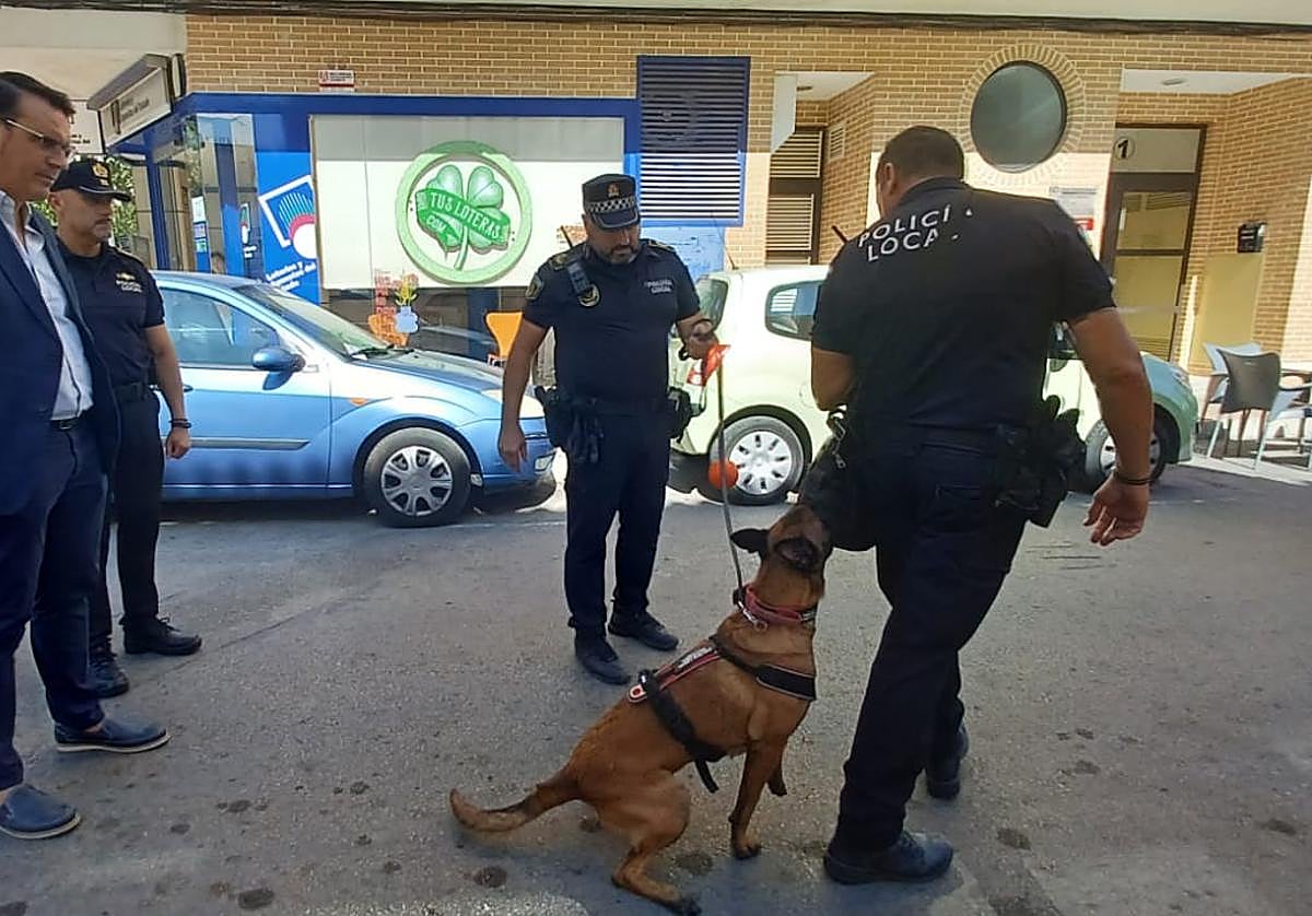 Luna, el nuevo miembro de la Policía Local de Mutxamel.