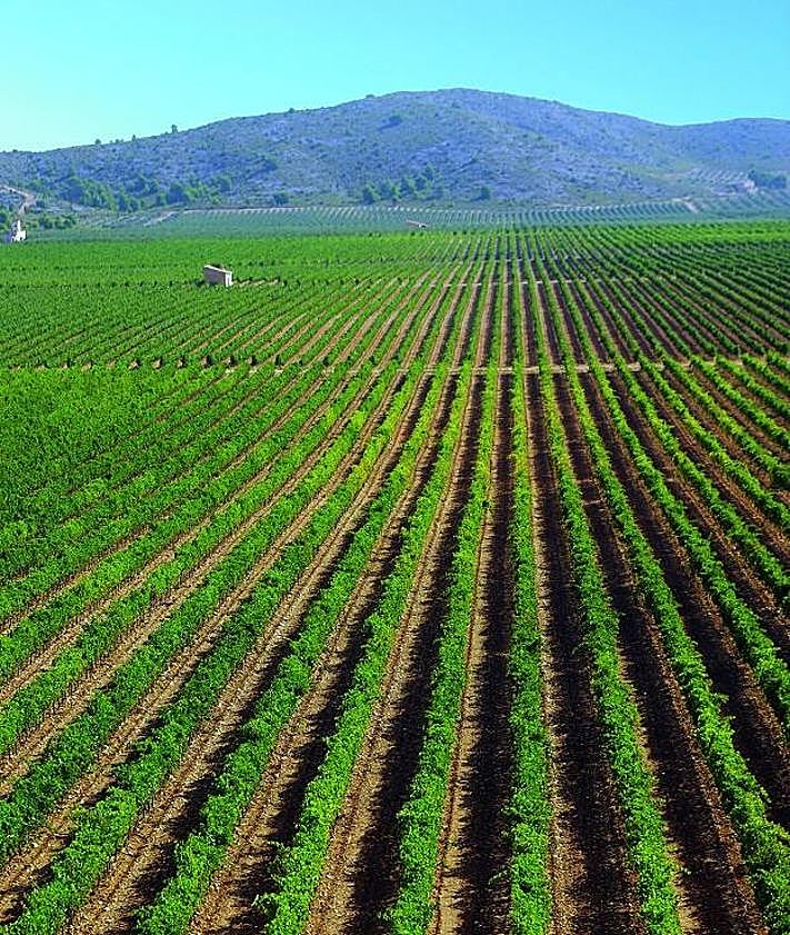 Imagen secundaria 2 - Feria de Muestras de Villena