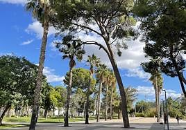 El campus de la UA vive una jornada primaveral en pleno octubre.