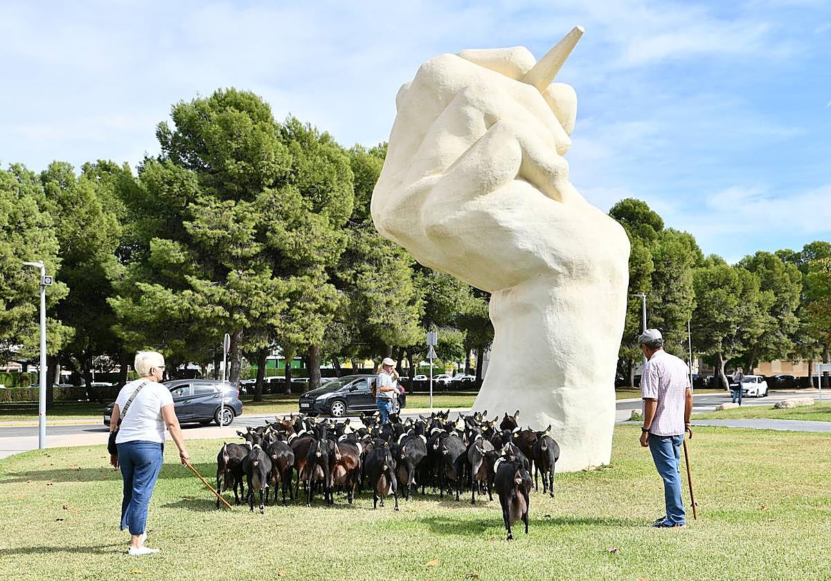 Las ovejas pasean por el campus de la UA