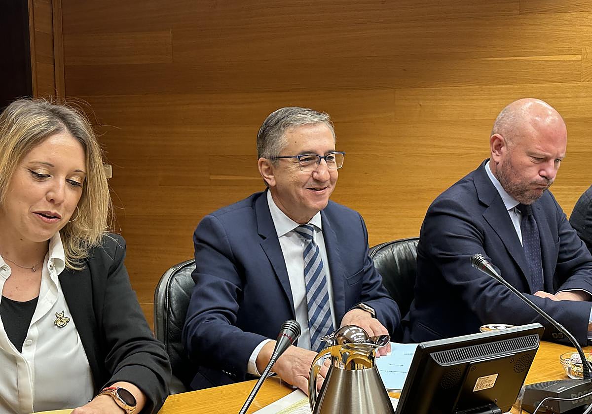 El conseller de Educación, José Antonio Rovira, en la comisión de Presupuestos.
