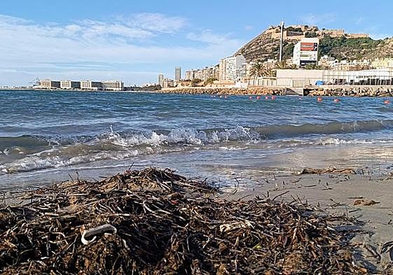Restros en la arena de una de las calas de la zona.