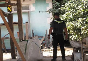 El estiércol no logra camuflar el olor de la marihuana