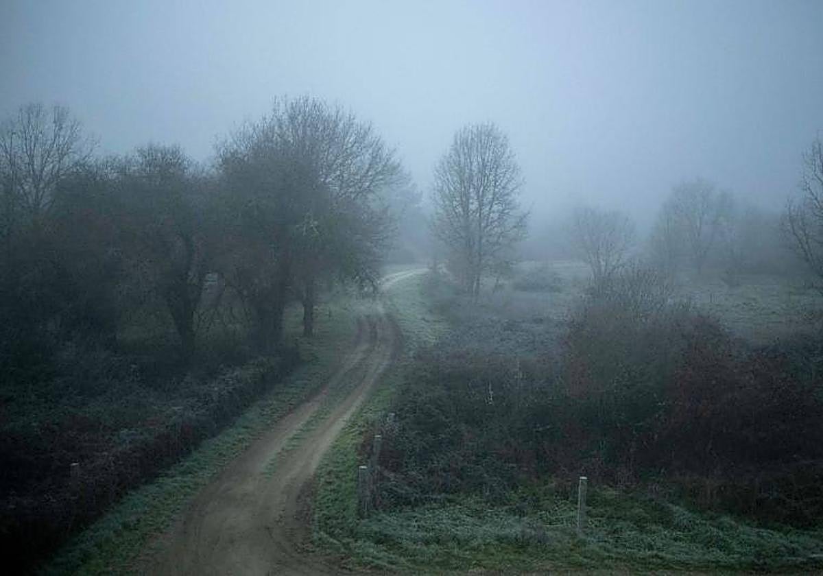 Nieblas y heladas a primeras horas de la mañana.