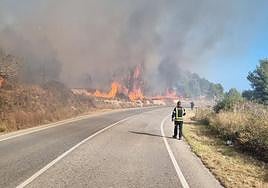 Incendio forestal en Xàbia.