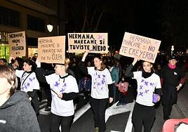 Manifestación del 25N, día internacional de la eliminación de la violencia contra las mujeres, en Alicante.