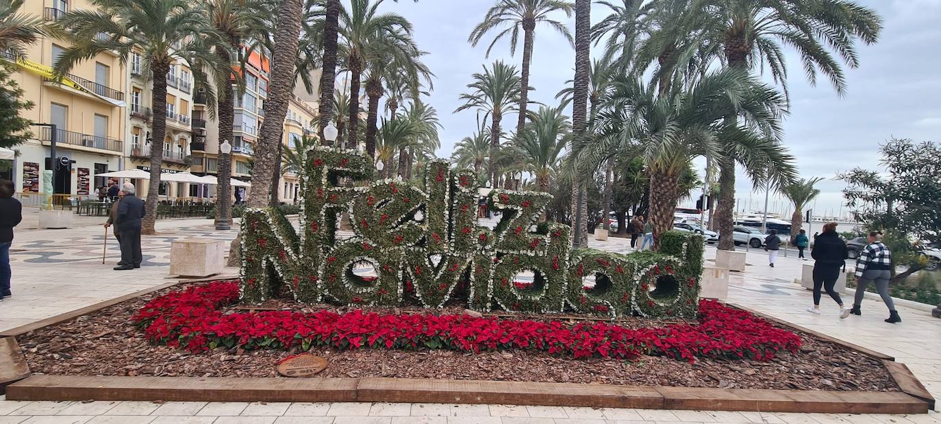 Alicante se tapiza de flores y adornos navideños