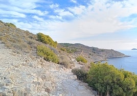 Imagen de la bahía vilera desde el nuevo sendero azul