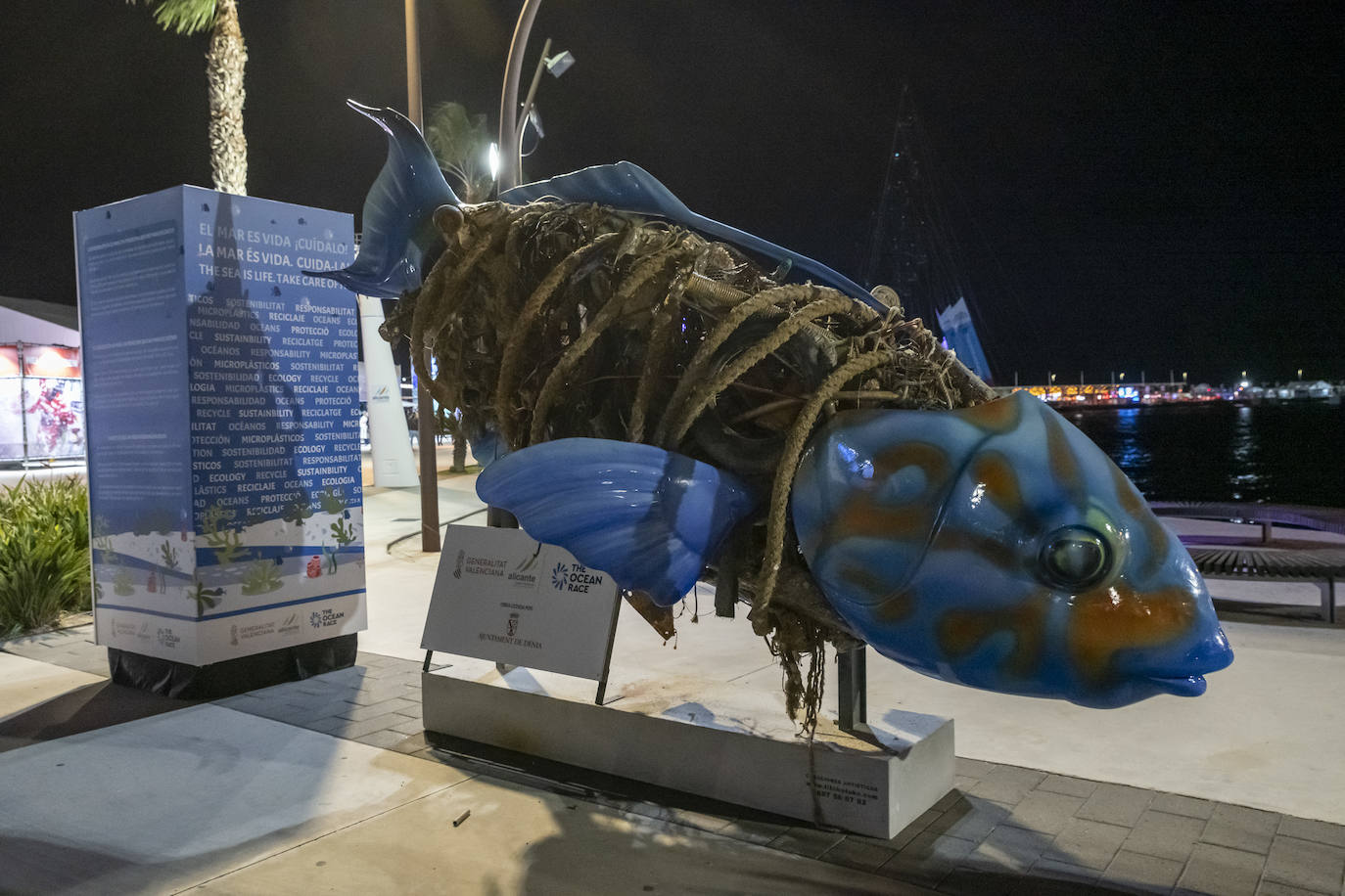 Fotos: Gran recibimiento de la Ocean Race