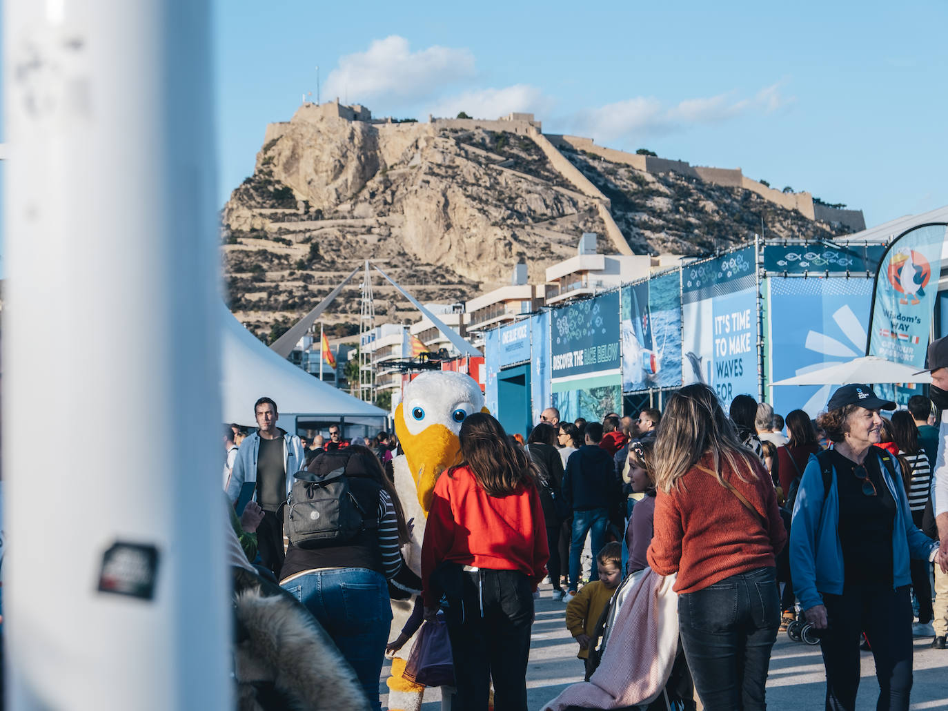 Ocean Race | Una edición multitudinaria
