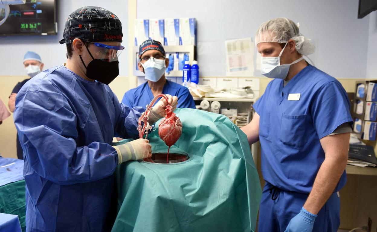 La actividad trasplantadora en los hospitales valencianos subió el año pasado un 5,4% 