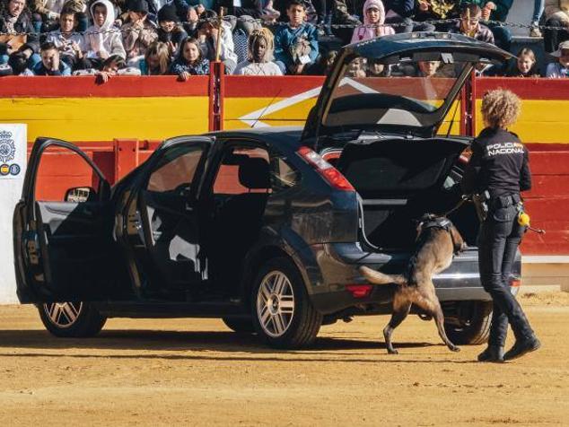 Fotos: Exhibición de medios aéreos, caballería y simulacro de rescate muestran la Policía Nacional