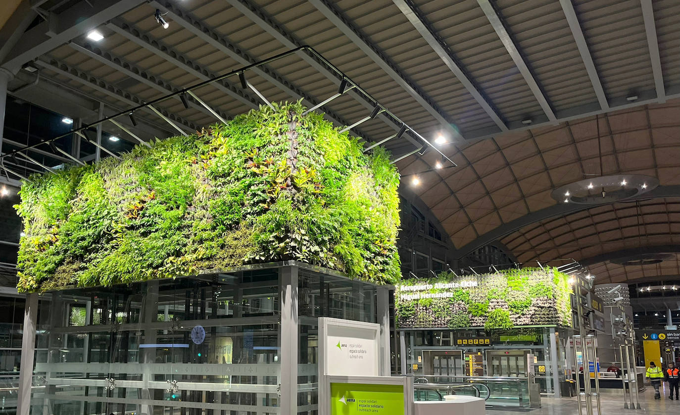 Jardines verticales instalados en la terminal alicantina