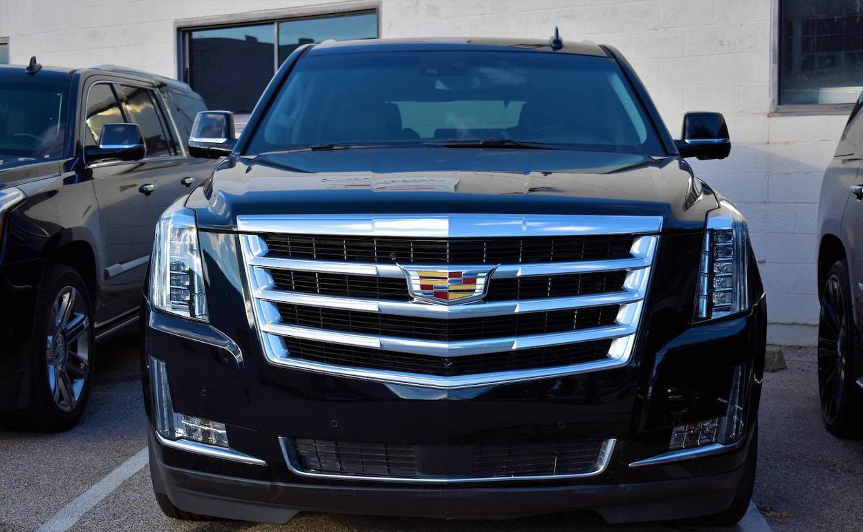 Flota de coches disponibles para alquilar