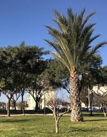 Imagen secundaria 2 - Imágenes de la zona dedicada a la arquitecta. 