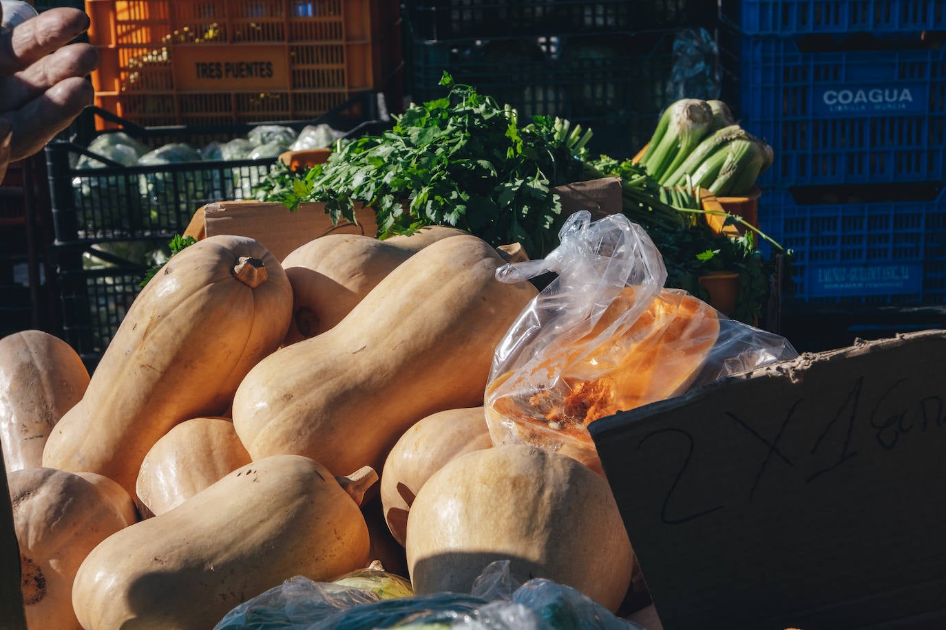 Fotos: Los colores de Teulada