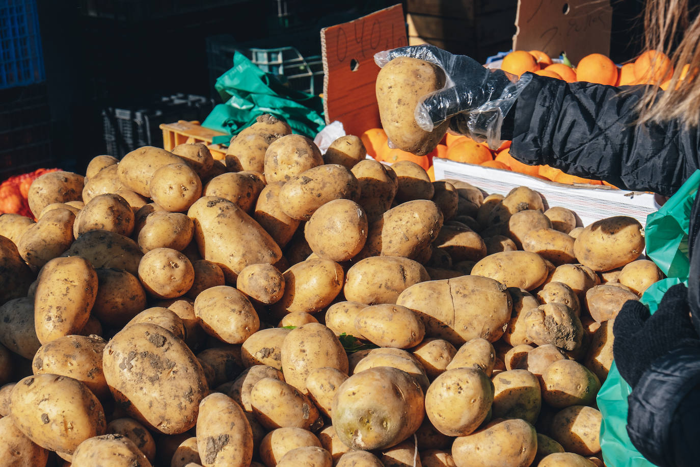 Fotos: Los colores de Teulada