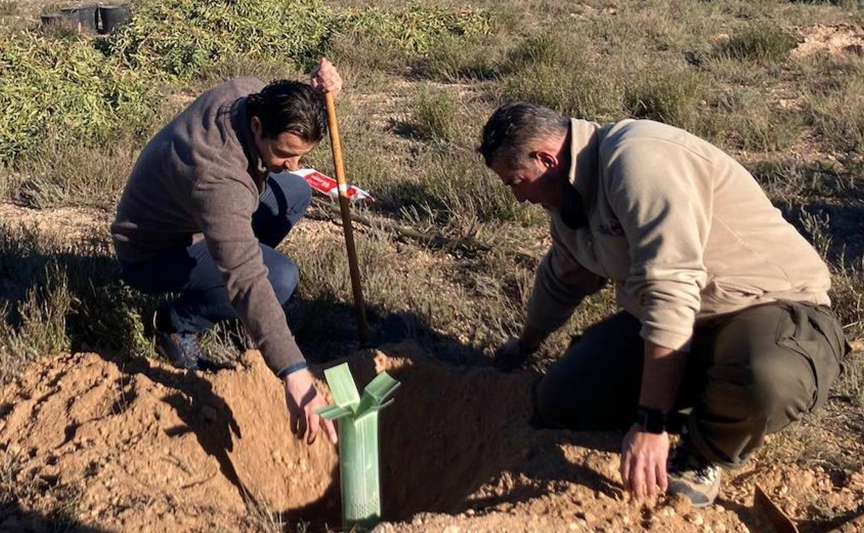 El alcalde de Torrevieja, Eduardo Dolón, plantando un árbol.