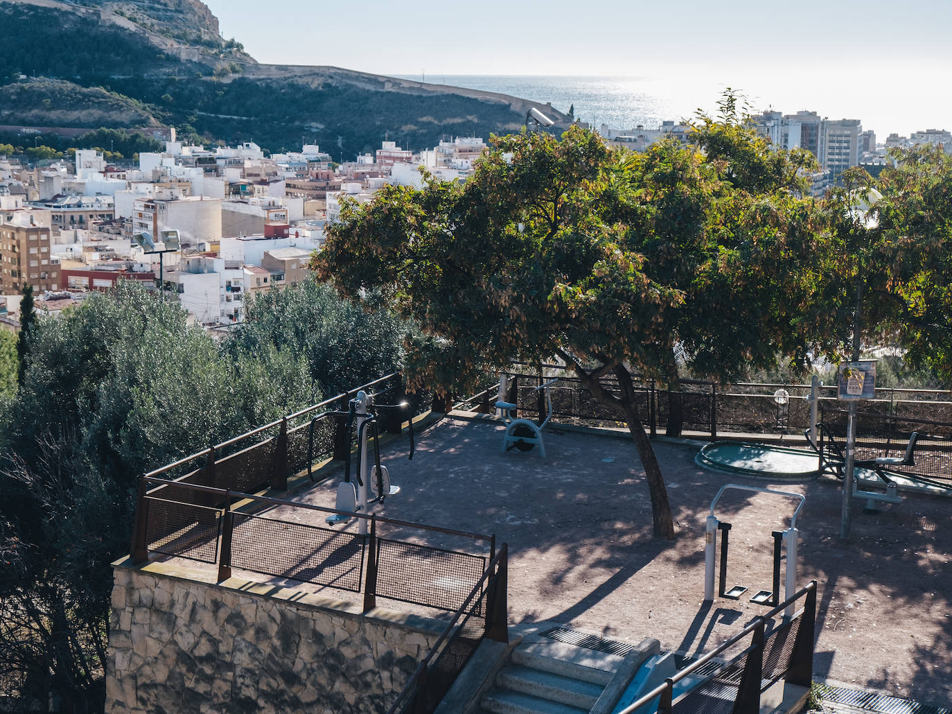 Fotos: Un parque en el corazón verde de Alicante