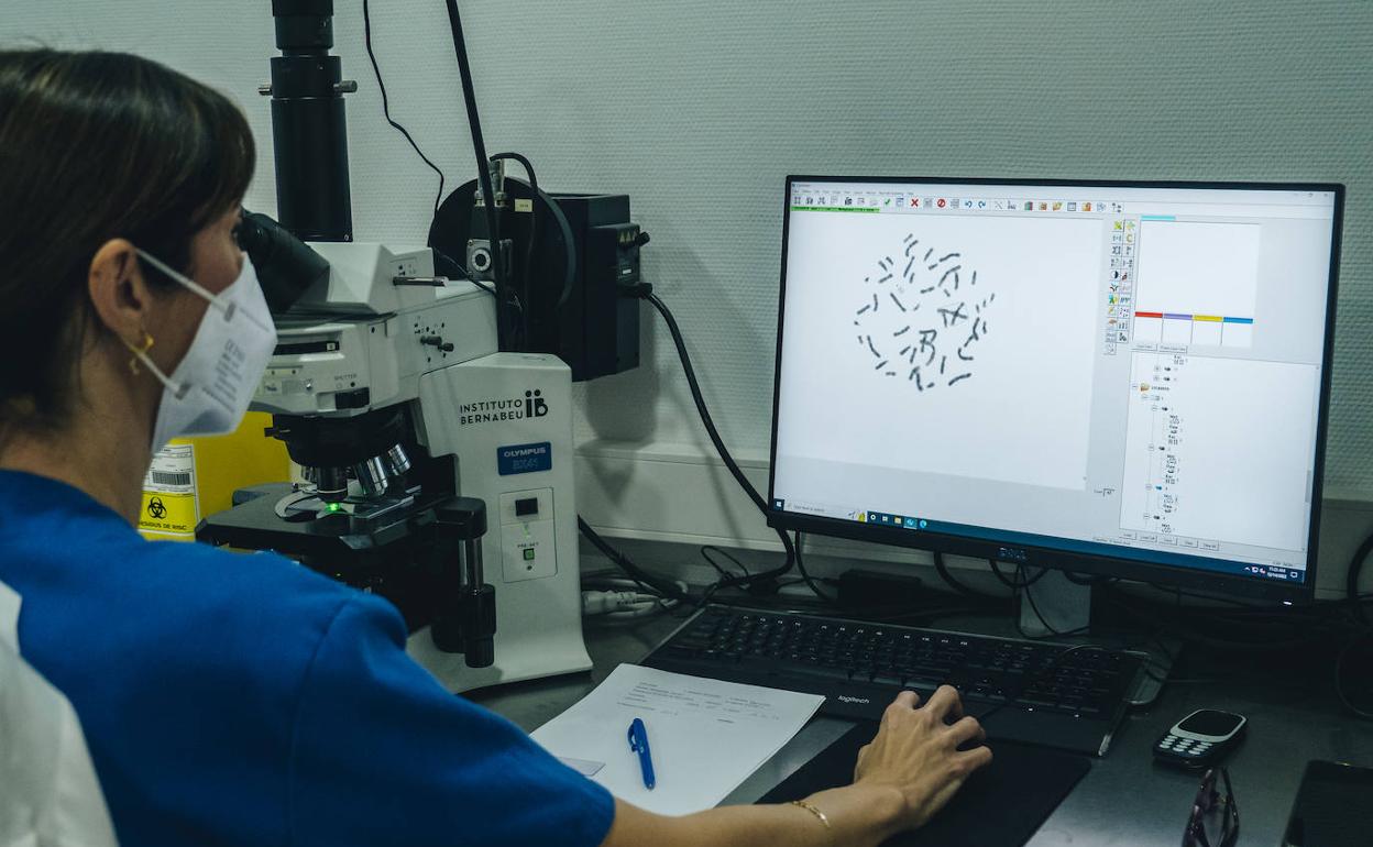 Laboratorio en una clínica de reproducción asistida en Alicante 