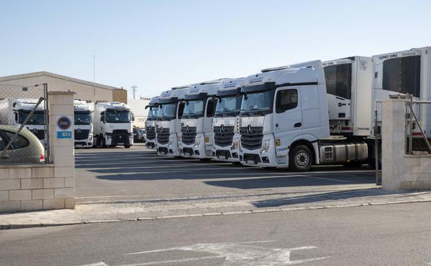 Flota de camiones en uno de los polígonos de Alicante 