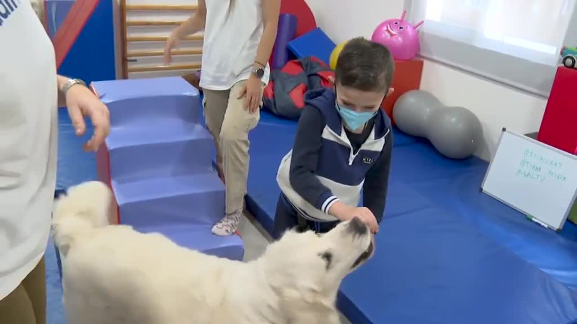 La compañía canina como terapia para los pacientes oncológicos