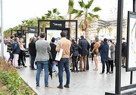 Exposición en el Puerto de Alicante.