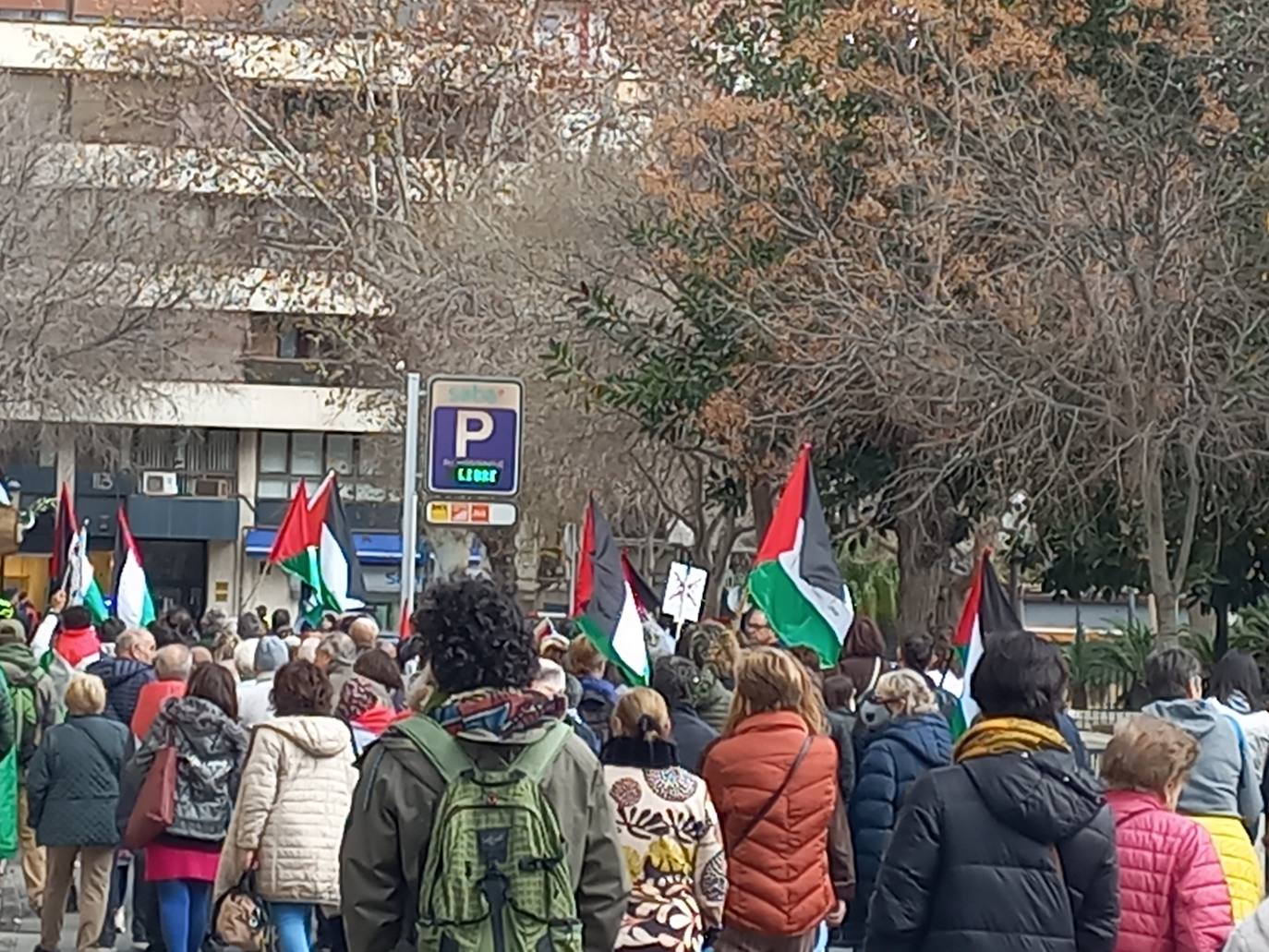 Más de un millar de personas se manifiestan en Alicante en apoyo a Palestina