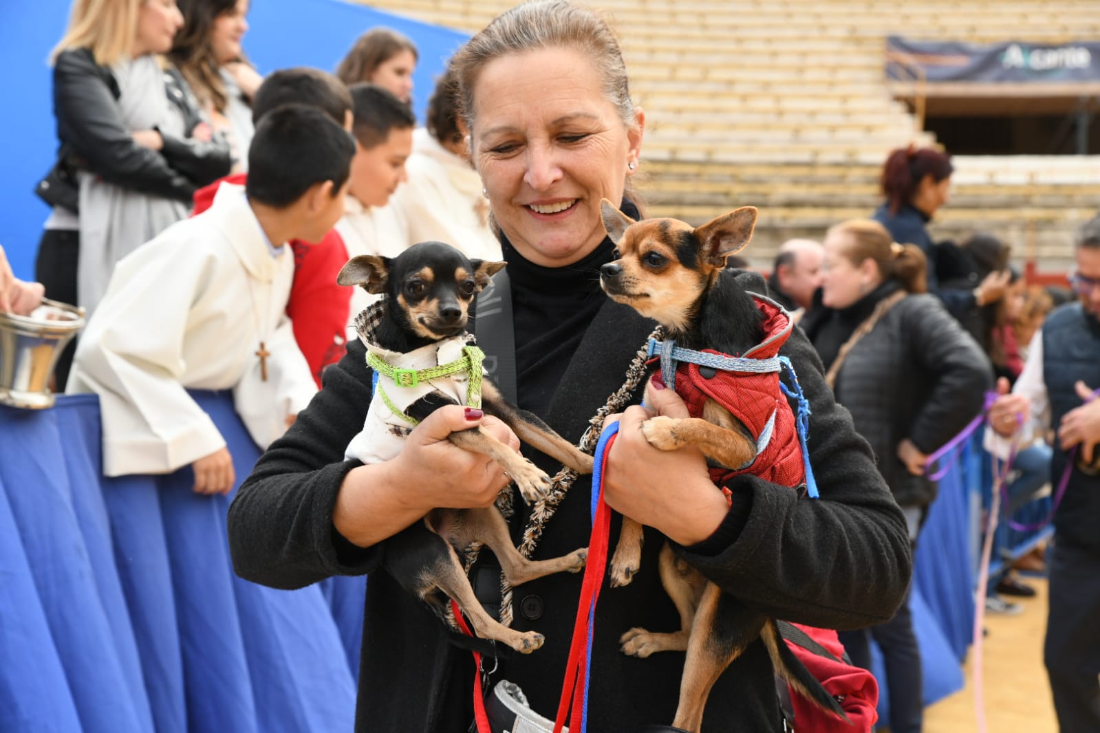 Las fiestas del Porrate de San Antón celebran su tradicional bendición de animales