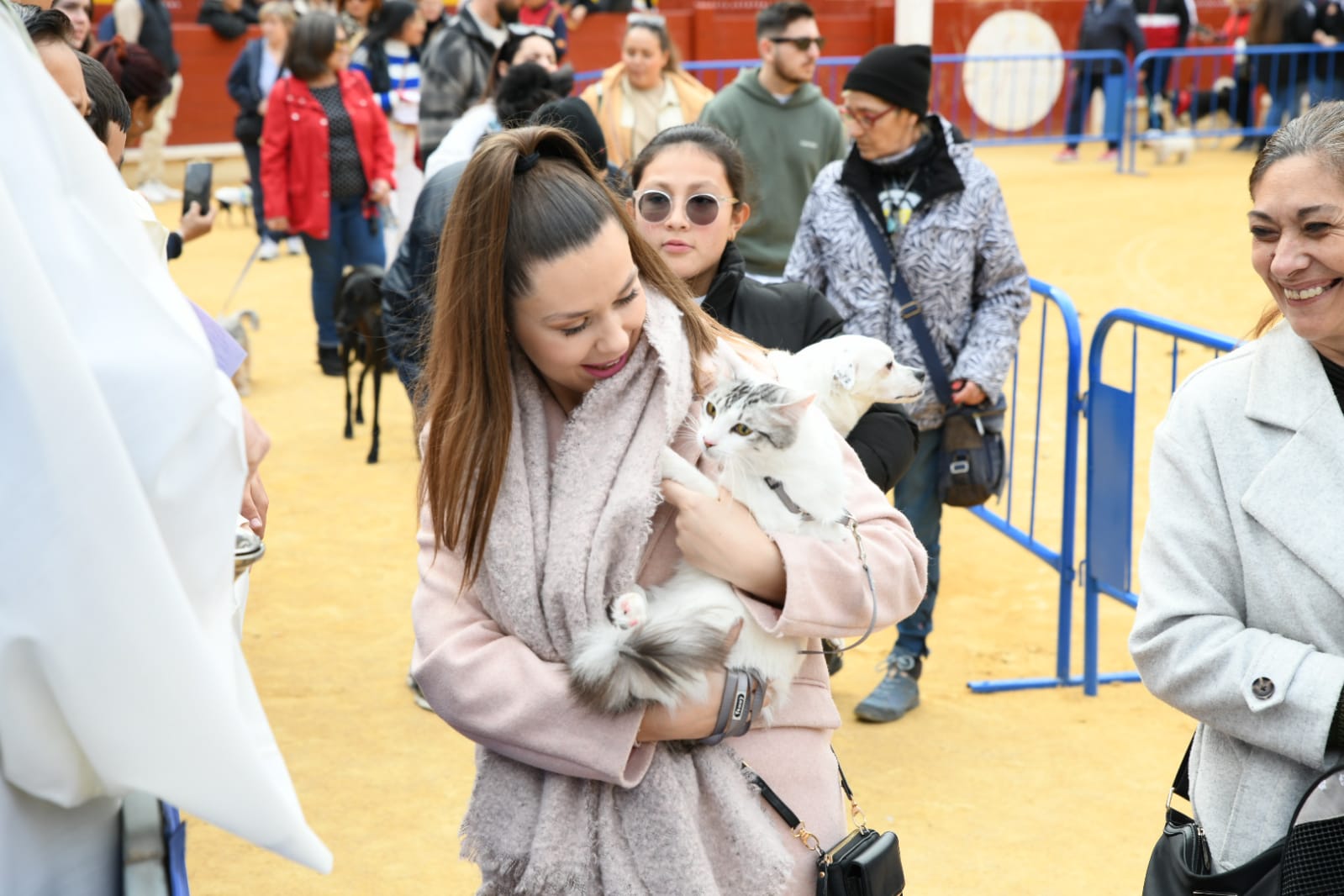 Las fiestas del Porrate de San Antón celebran su tradicional bendición de animales