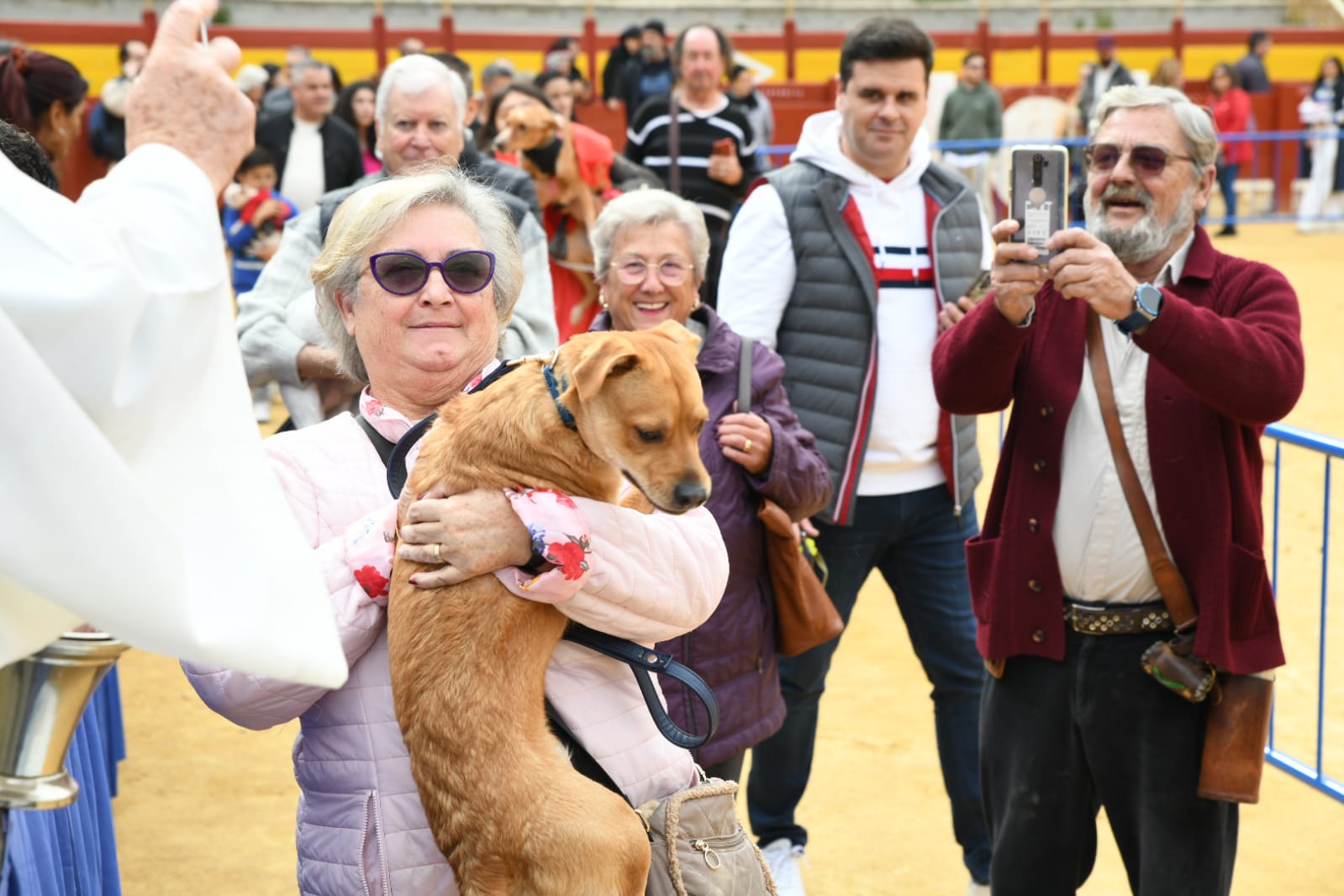 Las fiestas del Porrate de San Antón celebran su tradicional bendición de animales