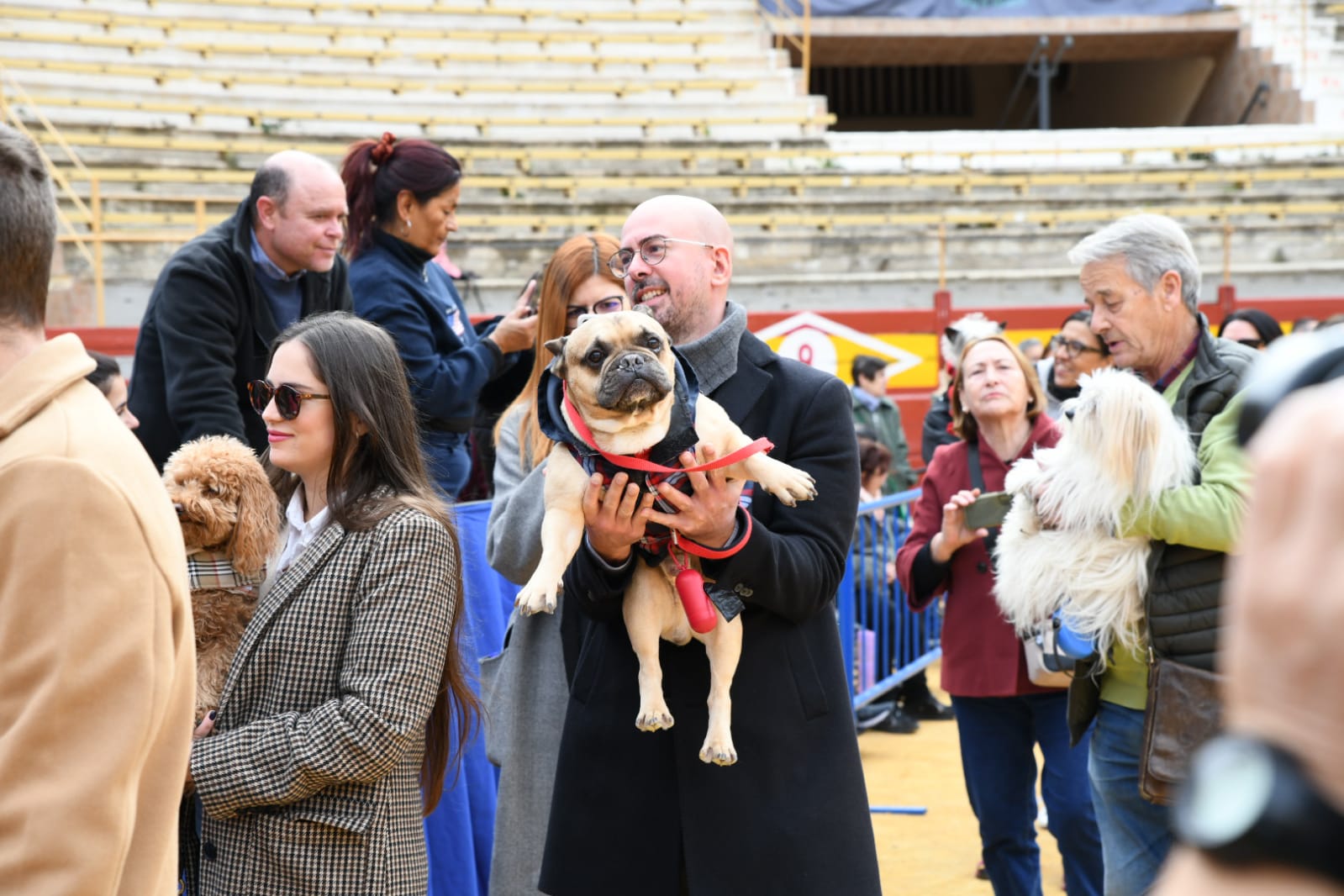 Las fiestas del Porrate de San Antón celebran su tradicional bendición de animales