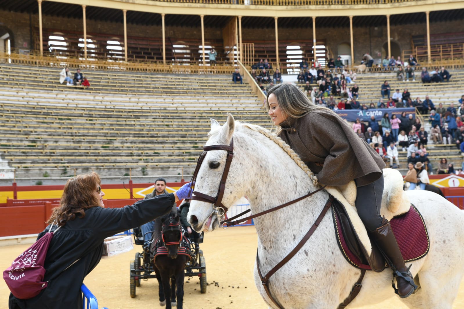 Las fiestas del Porrate de San Antón celebran su tradicional bendición de animales