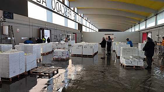 La Lonja de Pescado ha entrado en funcionamiento y prevé nuevos servicios para el sector.