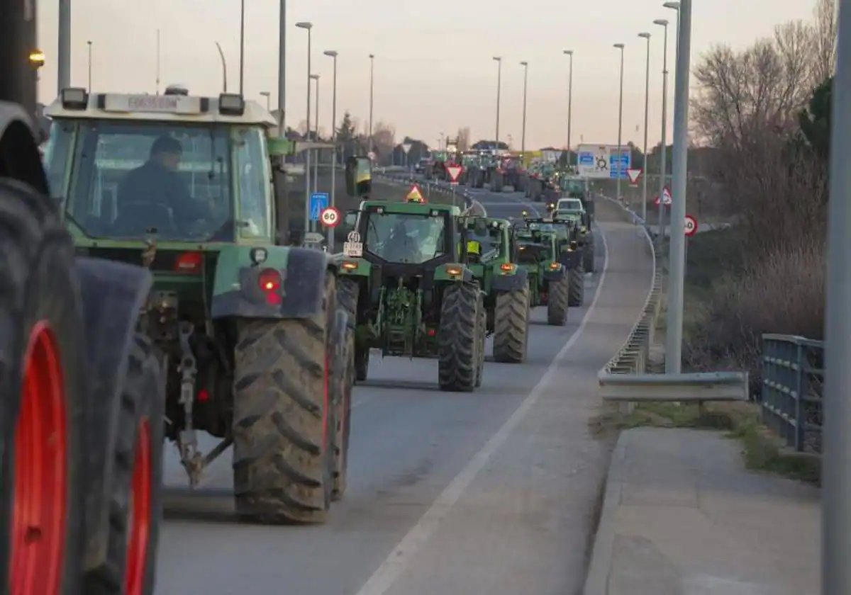 Imagen principal - Los agricultores se hartan y convocan movilizaciones en Alicante