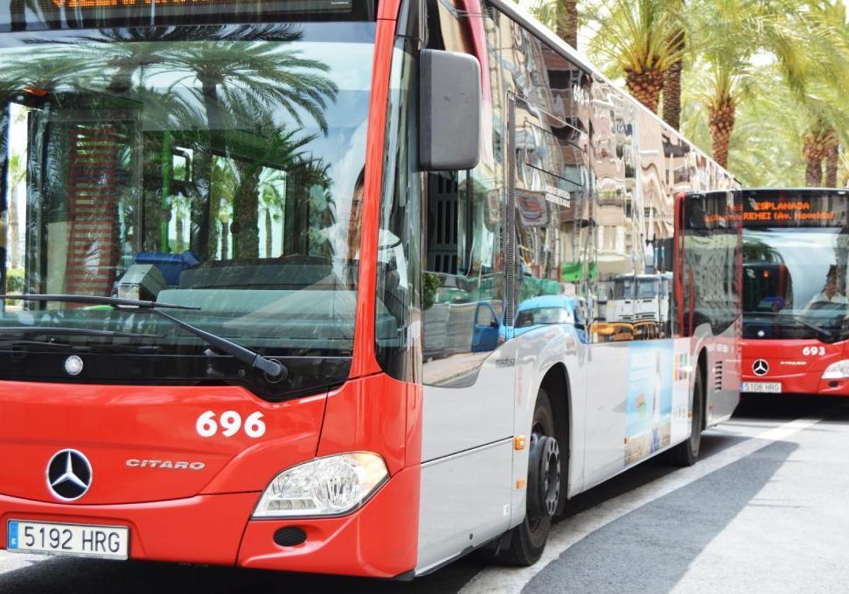 Autobuses recorren el centro de Alicante.